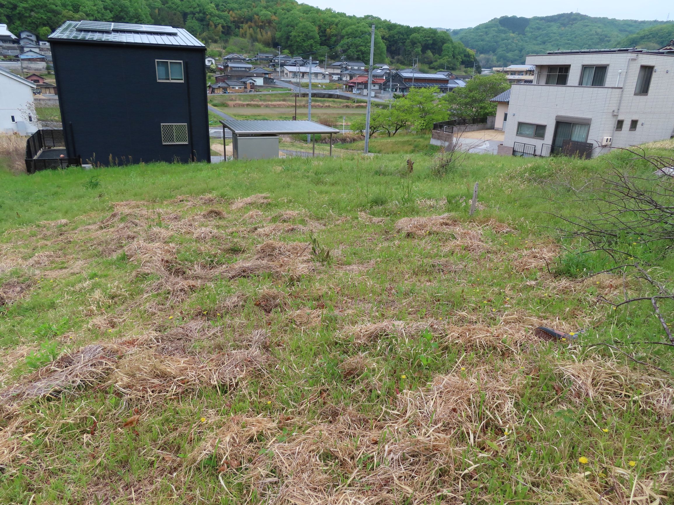 小田4203番地２