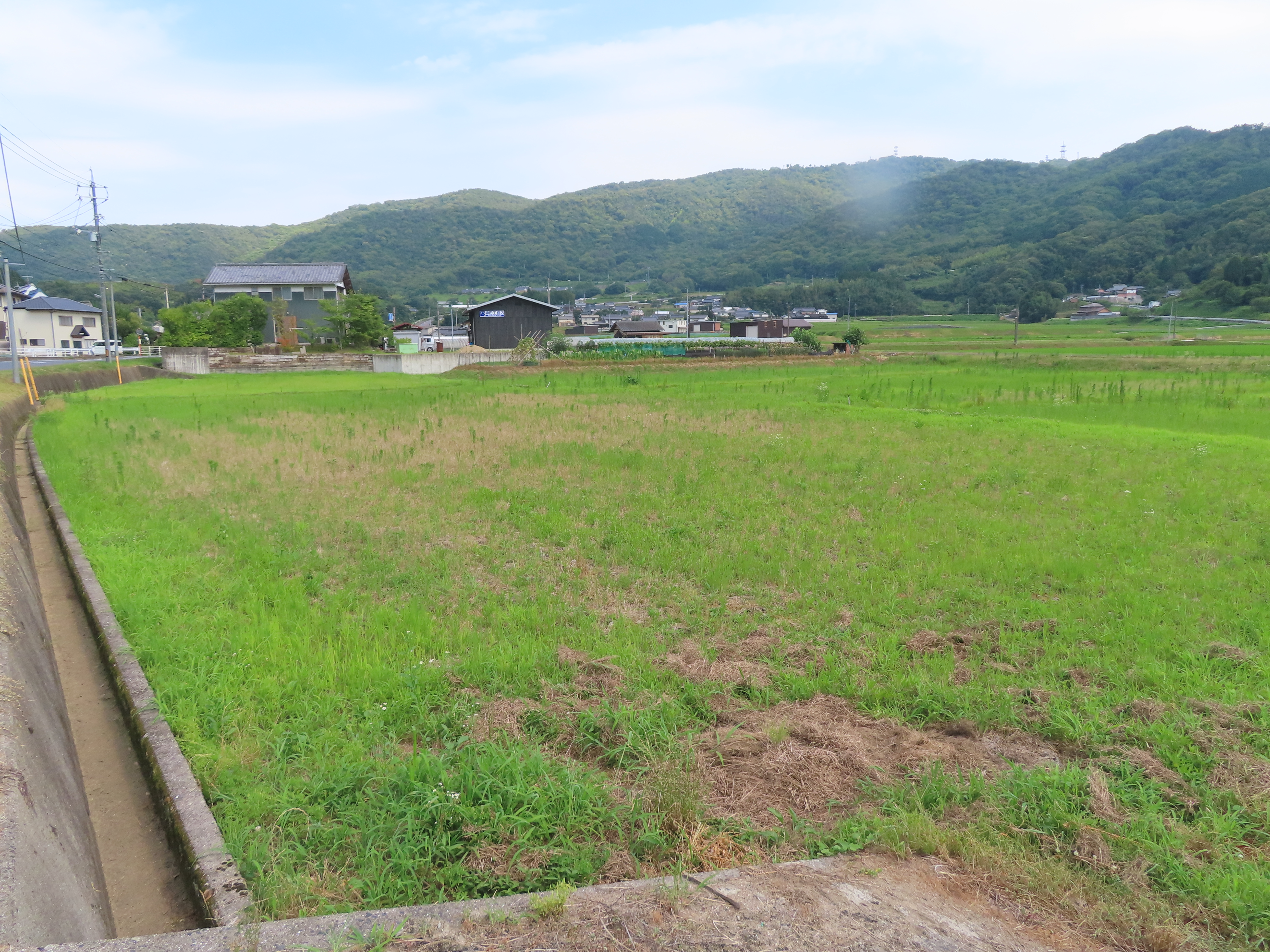 南山田254番地1