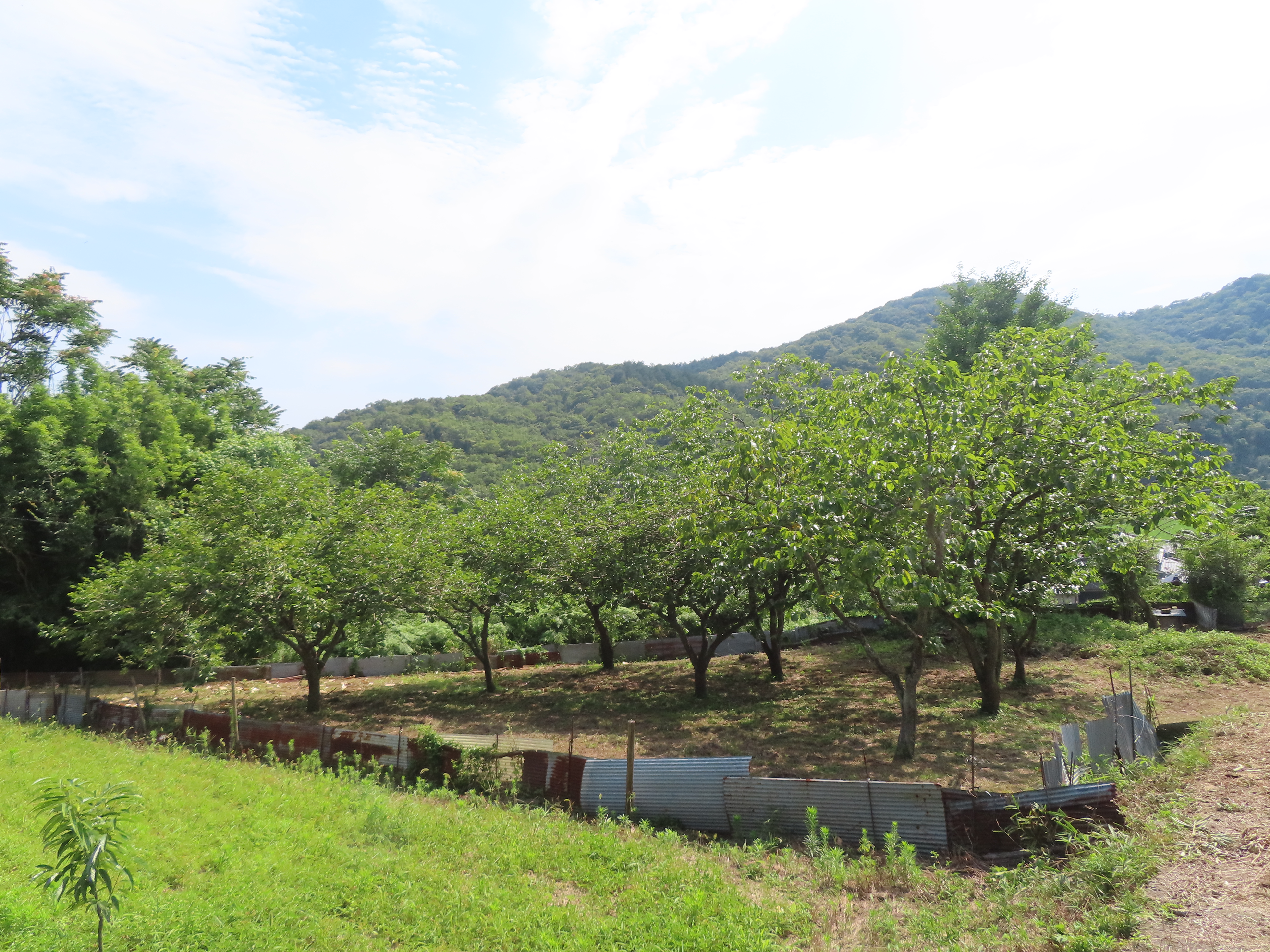 内田404・405番地1