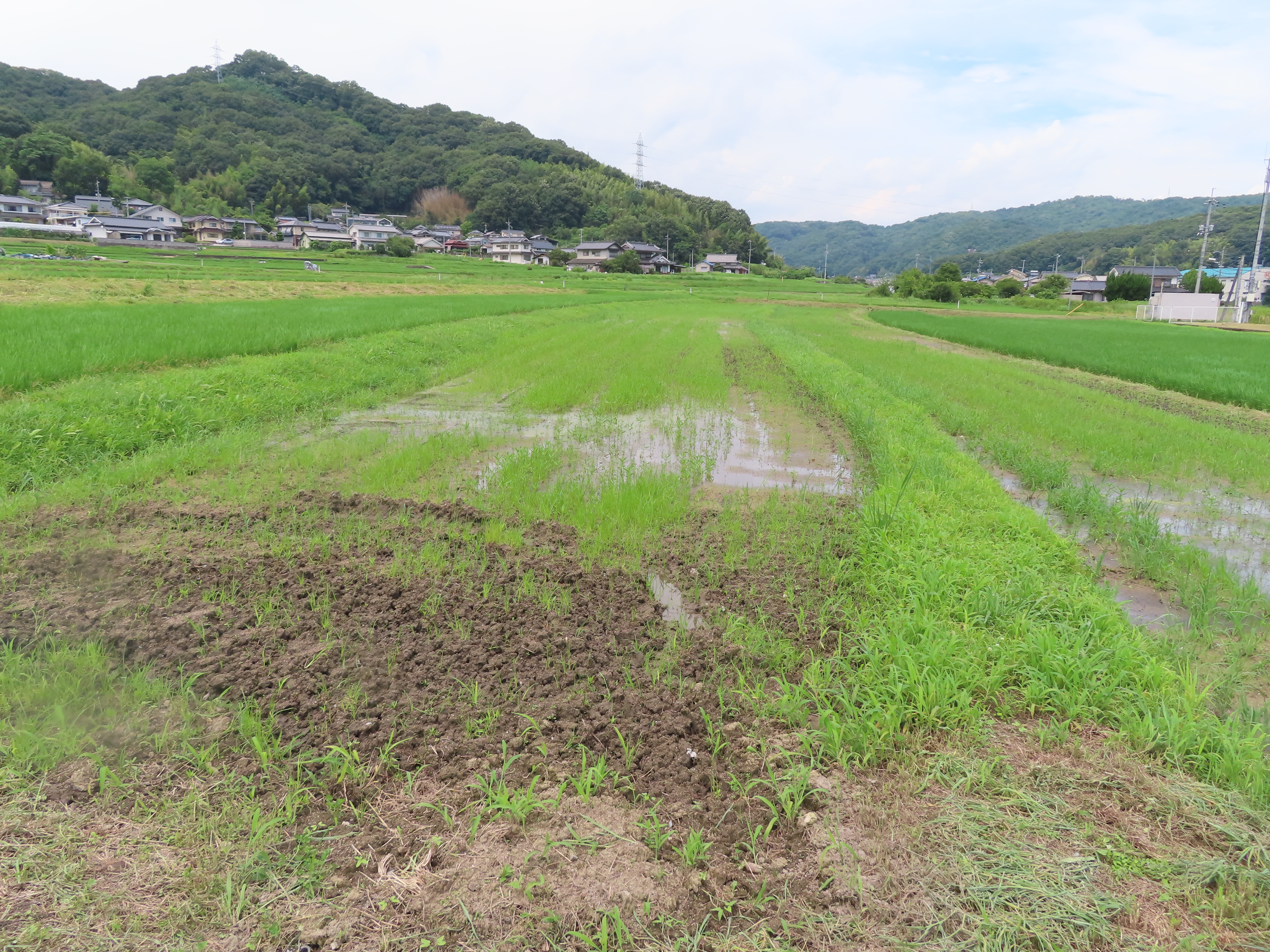 小田5069番地1